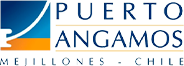 Puerto Angamos