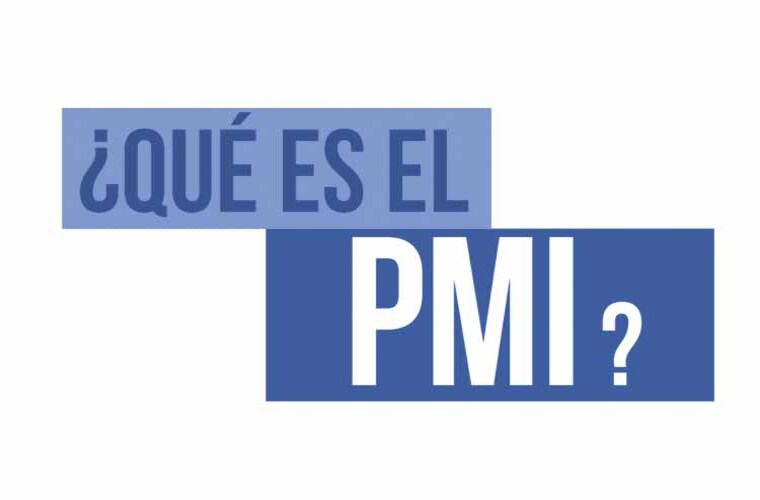 ¿Qué es el PMI?