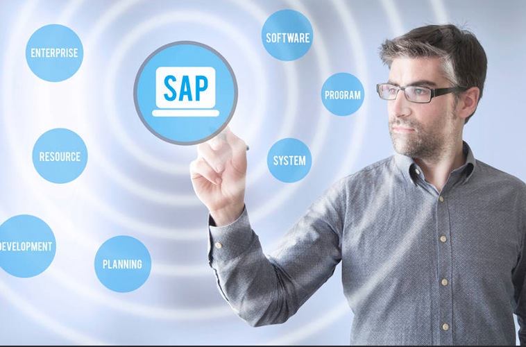 ¿Cuáles son las competencias SAP?