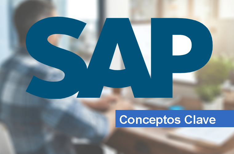 Conceptos importantes de SAP